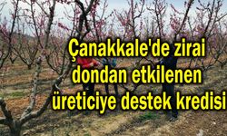 Çanakkale'de zirai dondan etkilenen üreticiye destek kredisi