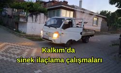 Kalkım’da sinek ilaçlama çalışmaları