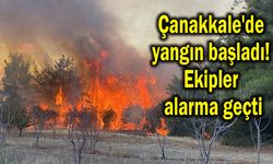 Çanakkale'de yangın başladı! Ekipler alarma geçti