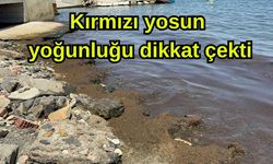 Kırmızı yosun yoğunluğu dikkat çekti