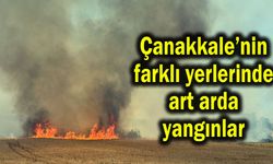 Çanakkale’nin farklı yerlerinde art arda yangınlar