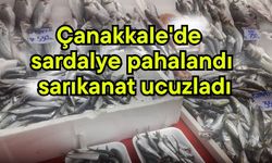 Çanakkale'de sardalye pahalandı, sarıkanat ucuzladı