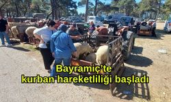Bayramiç’te kurban hareketliliği başladı