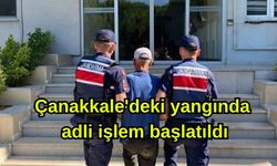 Çanakkale'deki yangında adli işlem başlatıldı