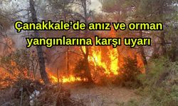 Çanakkale’de anız ve orman yangınlarına karşı uyarı