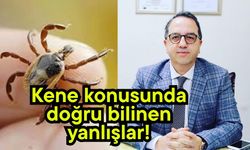 Kene konusunda doğru bilinen yanlışlar!