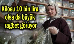 Kilosu 10 bin lira olsa da büyük rağbet görüyor (Video)