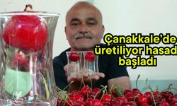 Çanakkale’de üretiliyor hasadı başladı(Video)
