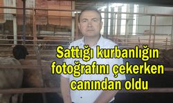 Sattığı kurbanlığın fotoğrafını çekerken canından oldu