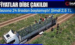 Tarla fiyatı dip yaptı! (Video)