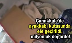 Çanakkale'de ayakkabı kutusunda ele geçirildi, milyonluk değerde! (Video)