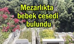 Mezarlıkta bebek cesedi bulundu (Video)