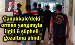 Çanakkale'de 11 orman yangınıyla ilgili 6 şüpheli gözaltına alındı