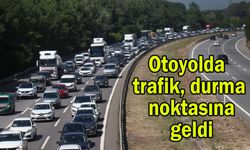 Otoyolda trafik durma noktasına geldi (Video)