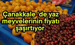 Çanakkale ‘de yaz meyvelerin fiyatı şaşırtıyor