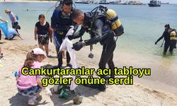 Cankurtaranlar acı tabloyu gözler önüne serdi
