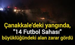 Çanakkale’deki yangında, 14 futbol sahası büyüklüğündeki alan zarar gördü
