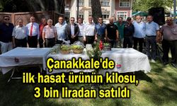 Çanakkale'de ilk hasat ürünün kilosu, 3 bin liradan satıldı