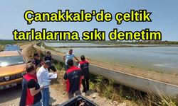 Çanakkale’de çeltik tarlalarına sıkı denetim