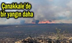 Çanakkale'de bir yangın daha