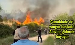 Çanakkale’de yangın başladı! Alevler giderek büyüyor