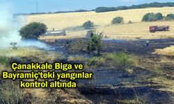 Çanakkale Biga ve Bayramiç'teki yangınlar kontrol altında