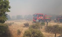 Çanakkale’de tarım arazisinde çıkan yangın kontrol altında