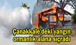 Çanakkale'deki yangın ormanlık alana sıçradı (Video)