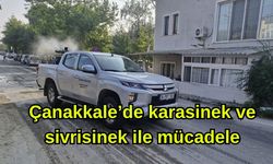 Çanakkale’de karasinek ve sivrisinek ile mücadele