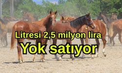 Litresi 2,5 milyon lira yok satıyor (Video)