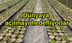 Dünyaya açılmayı hedefliyorlar (Video)