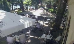Çınardan kopan dal can aldı: O anlar kamerada