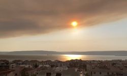 Tekirdağ'daki orman yangınının dumanı Çanakkale Boğazı'nı kapladı (Video)