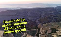 Çanakkale'ye ulaşan yangının 42 saat sonra önüne geçildi (Video)