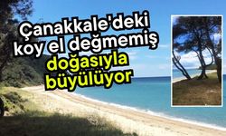 Çanakkale'deki koy el değmemiş doğasıyla büyülüyor