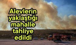Alevlerin yaklaştığı mahalle tahliye edildi
