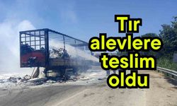 Tır alevlere teslim oldu!