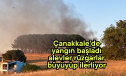 Çanakkale'de yangın başladı, alevler rüzgarlar büyüyüp ilerliyor (Video)