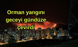 Orman yangını geceyi gündüze çevirdi (Video)