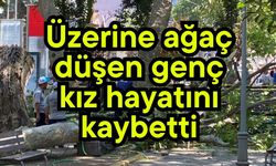 Üzerine ağaç düşen genç kız hayatını kaybetti