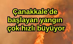Çanakkale'de başlayan yangın çok hızlı büyüyor