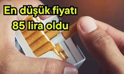 En düşük fiyatı 85 lira oldu