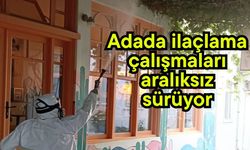 Adada ilaçlama çalışmaları aralıksız sürüyor