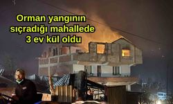 Orman yangının sıçradığı mahallede 3 ev kül oldu