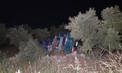 Biber yüklü kamyon zeytinliğe uçtu