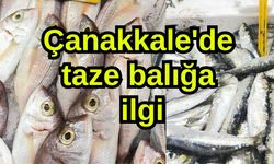 Çanakkale'de taze balığa ilgi