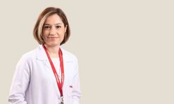 Hamilelere yaz tatili uyarısı