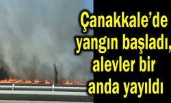 Çanakkale’de yangın başladı, alevler bir anda yayıldı (Video)