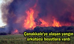 Çanakkale'ye ulaşan yangın ürkütücü boyutlara vardı (Tıkla izle)