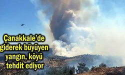 Çanakkale’de giderek büyüyen yangın, köyü tehdit ediyor (Tıkla izle)